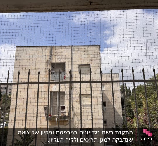 בניין עם רשת למניעת כניסת יונים